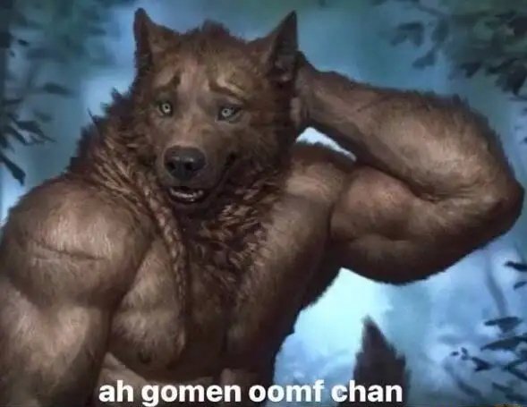 ahh gomen oomf chan wolf